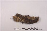 藏品(圓盤衣屬)的圖片